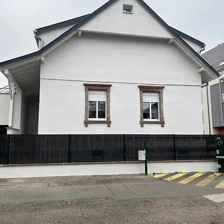 Daire Centre - Le Schickele - Garage Prive - Climatise Colmar