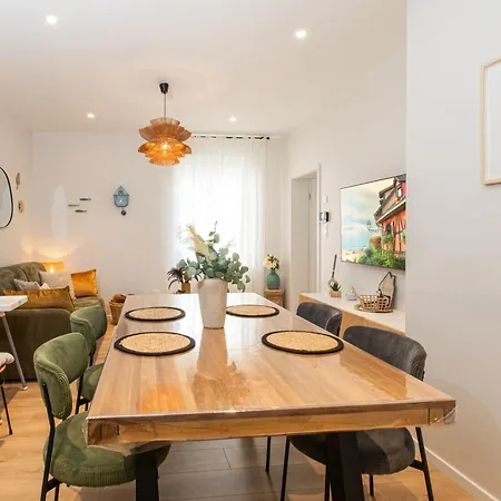 Daire Centre - Le Schickele - Garage Prive - Climatise *