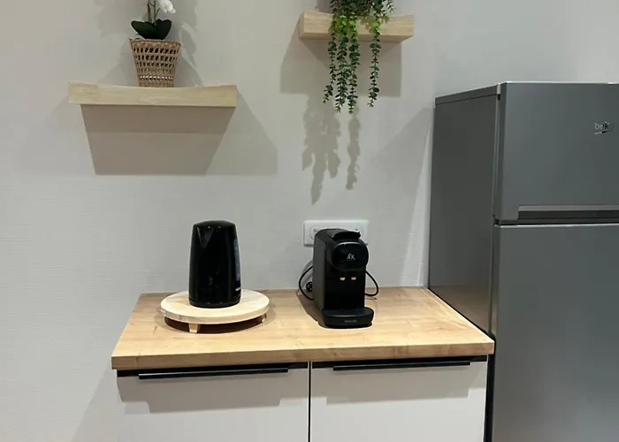 Apartment Centre - Le Schickele - Garage Prive - Climatise *