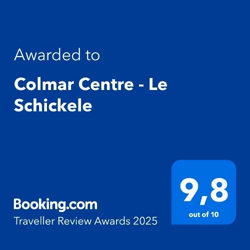 Apartment Centre - Le Schickele - Garage Prive - Climatise Colmar