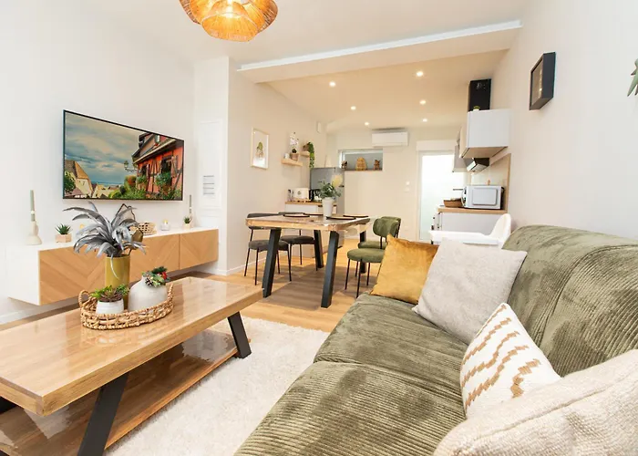 Apartment Centre - Le Schickele - Garage Prive - Climatise