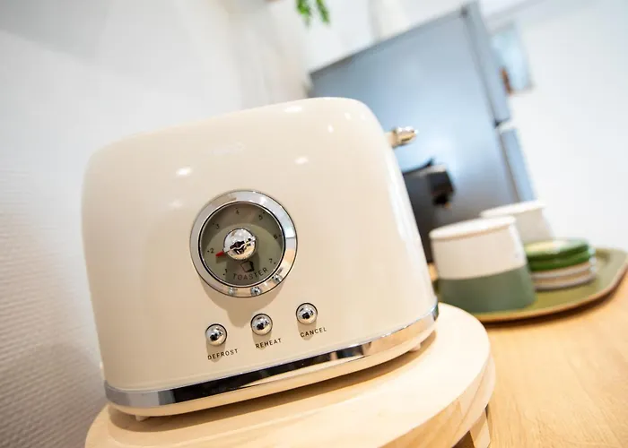 Centre - Le Schickele - Garage Prive - Climatise * Colmar