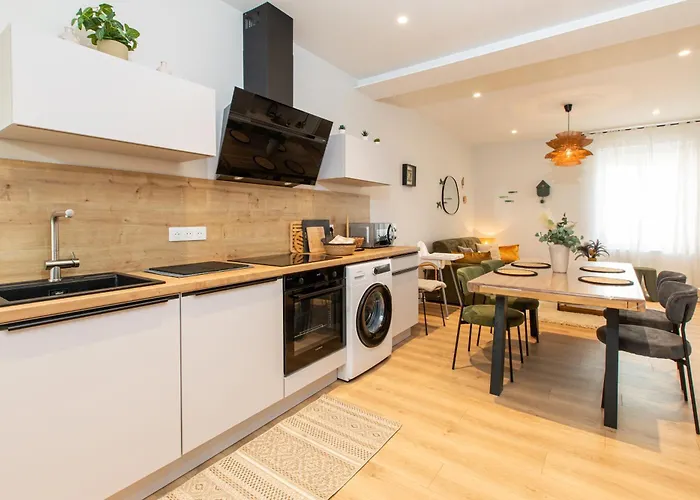 Apartment Centre - Le Schickele - Garage Prive - Climatise Colmar