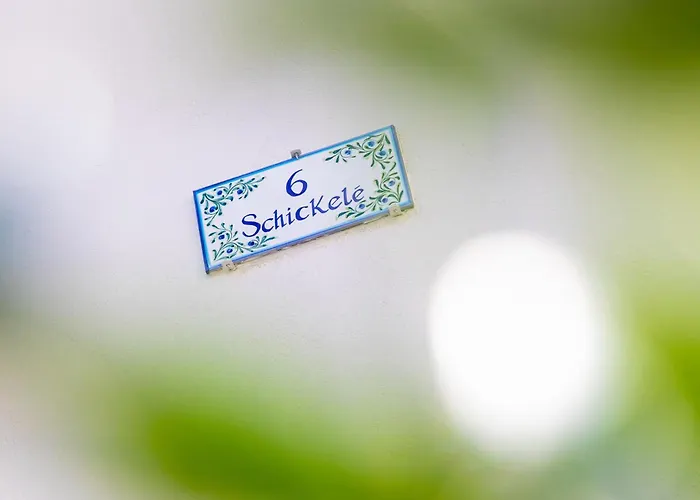 Apartment Centre - Le Schickele - Garage Prive - Climatise Colmar