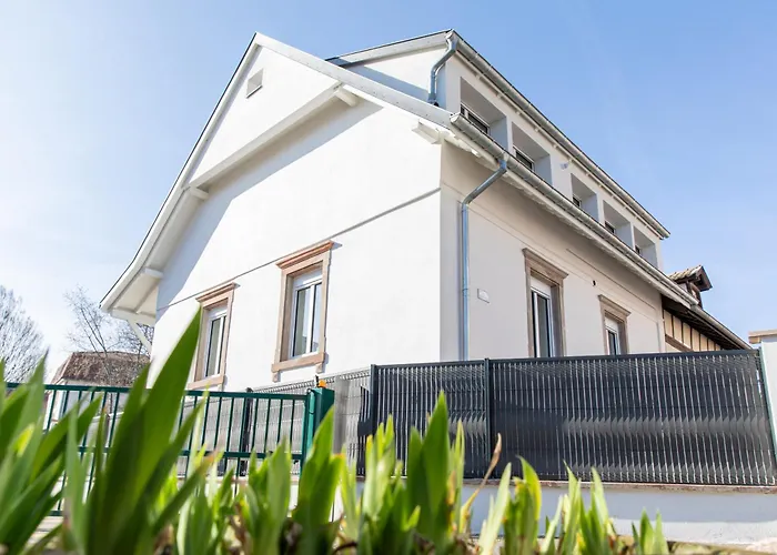 Centre - Le Schickele - Garage Prive - Climatise Apartment